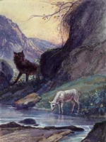 Les animaux des fables : le loup